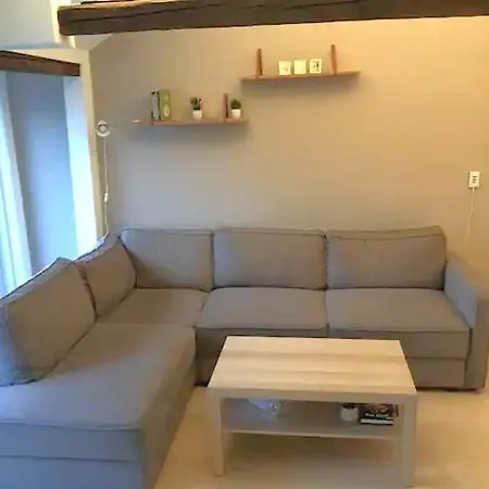 Apartment Sentral Loftsleilighet Med Skjermet Balkong